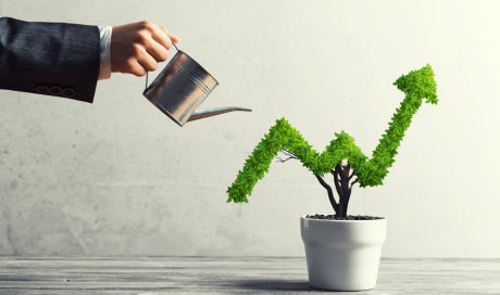 Les formations vente de Naturelia pour les professionnels du bien-être : croissance professionnelle et intégrité personnelle !