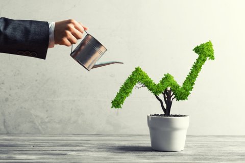 Les formations vente de Naturelia pour les professionnels du bien-être : croissance professionnelle et intégrité personnelle !