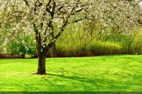 C'est le printemps dans votre centre de formation Naturelia, retrouvez nos massages détox et stimulants