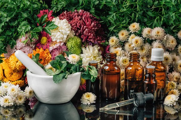 Formation à l'utilisation des Fleurs de Bach - Villefranche sur Saône - Naturelia