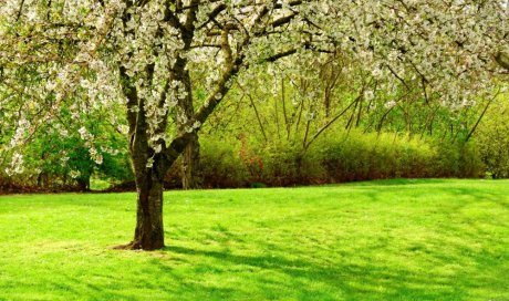 C'est le printemps dans votre centre de formation Naturelia, retrouvez nos massages détox et stimulants