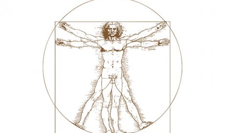 Anatomie avec Michel Alain Girard, redécouverte de l'anatomie - Villefranche-sur-Saône - Naturelia